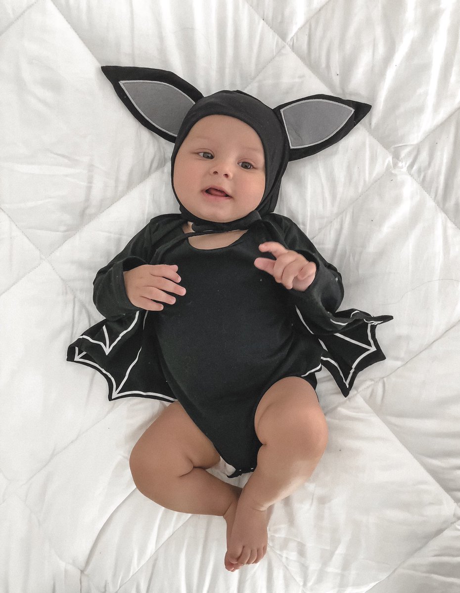 urmomkeana's tweet photo. Found this little bat outside should I keep him? 🦇 
Were excited for Halloween this year!! https://t.co/UbzHgFAZ43