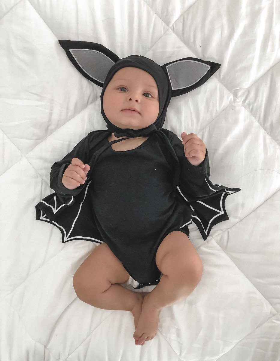 urmomkeana's tweet photo. Found this little bat outside should I keep him? 🦇 
Were excited for Halloween this year!! https://t.co/UbzHgFAZ43