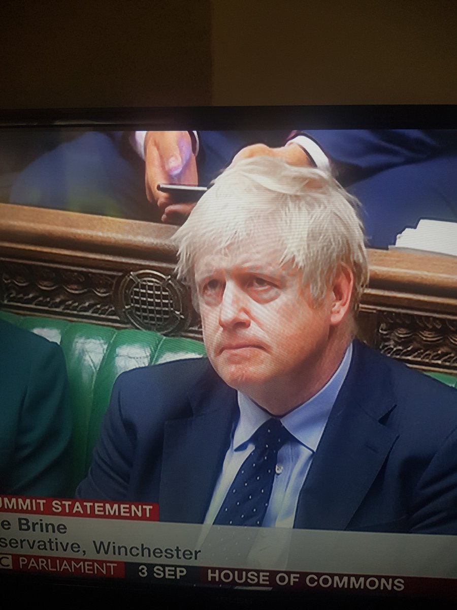 This is the face of a man having a really shit day at work 
#BorisJohnsonLies 
#houseofcommons 
#BrexitShambles