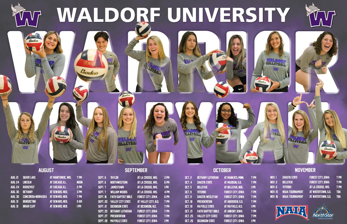 WaldorfVB's tweet photo. Check out our 2019 team poster! You can download your own copy today at https://t.co/MdICes9OPo https://t.co/7KCXEb5Elp