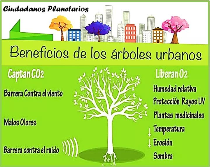 mferperez77's tweet photo. Hoy a las 18 hs te podés informar de los múltiples beneficios del Arbolado Urbano.
Escuchanos por @fmalba https://t.co/DWsh8VGwdF o por nuestra página https://t.co/IPkAhZfvE5
#MedioAmbiente #arbol #beneficiosdelosarboles #educacionambiental https://t.co/UuJyMPyu9B
