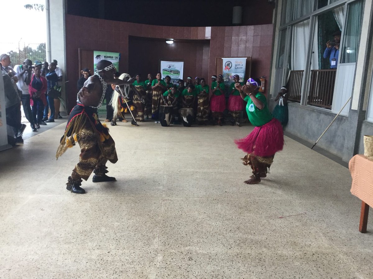 Bwindi Trust tweet media