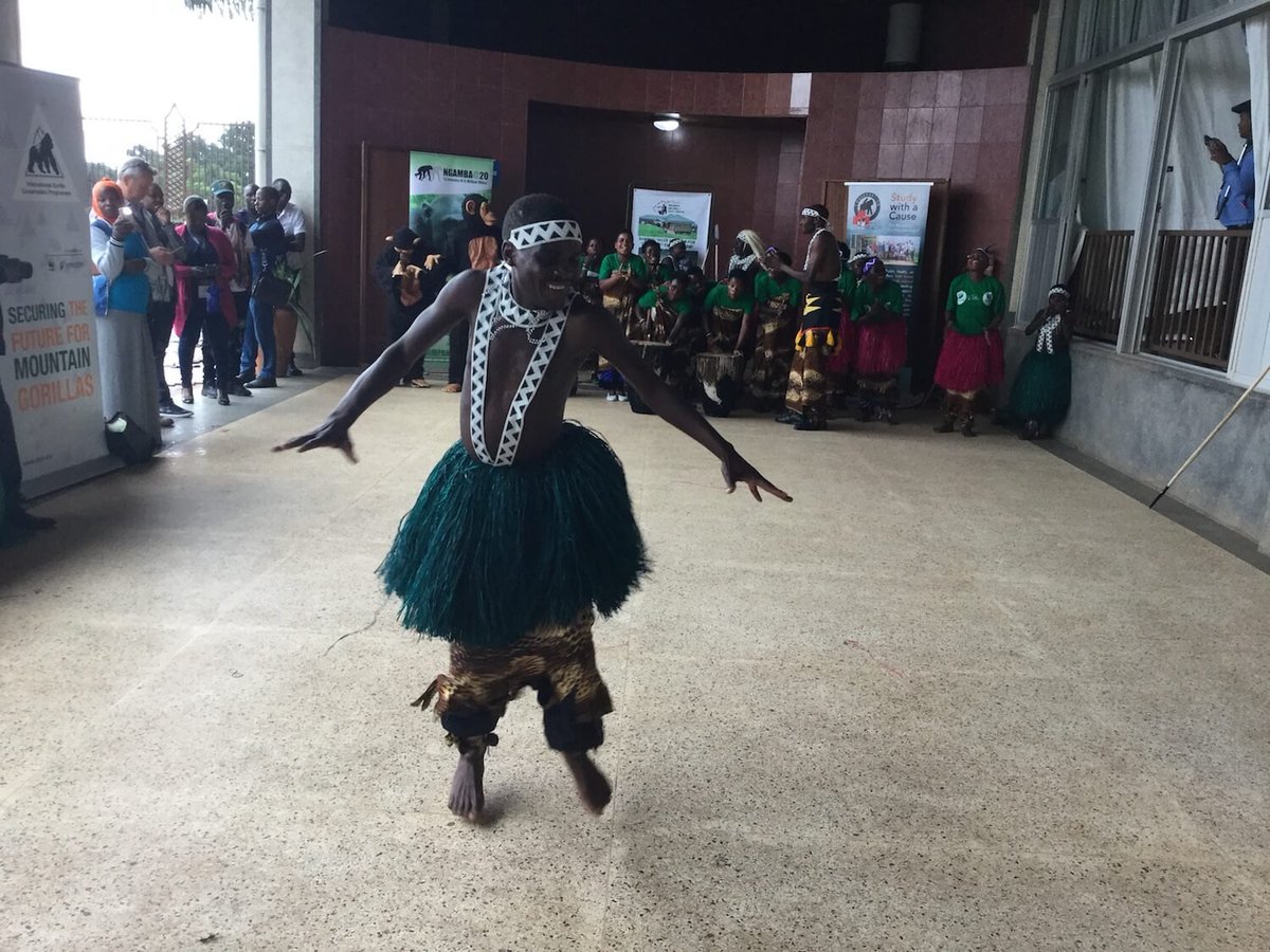 Bwindi Trust tweet media