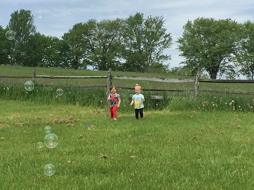 Little Adventurers parent and child program will take us to Pawtucket Playground, Chestnut Village Trails, Knox Farm State Park,  Orchard Meadows Playground, and Burmon Playground this fall! Register today!
oprec.org/Preschool/Infa…