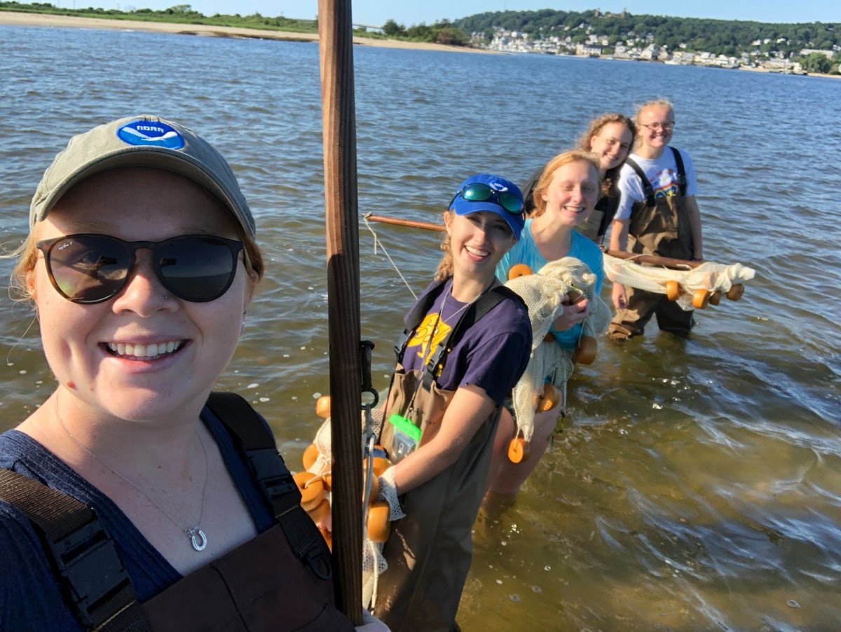 Students pull a seine through the water along one of Sandy Hook's beaches in New Jersey.