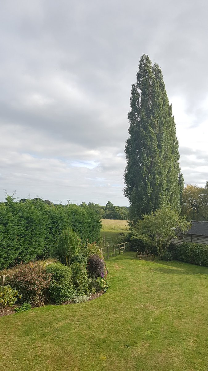 PatriciaKusters's tweet image. Mooie plek om over #bomen te bomen, ehhh #lezen. #listentothetrees #GreatBritain