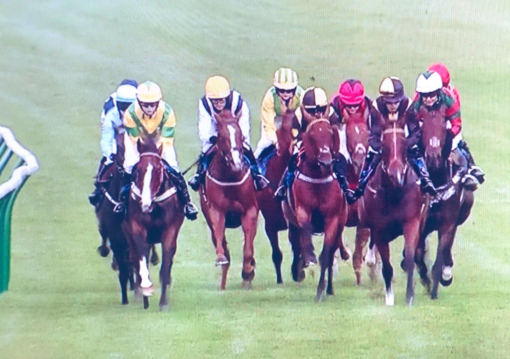amajox's tweet photo. Congrats @amajox #ImogenMathias @dml_racing #winner @salisburyraces #Silvington #topjockππππππ https://t.co/UlJHbYwPdX