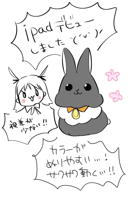 iPad デビューしました 