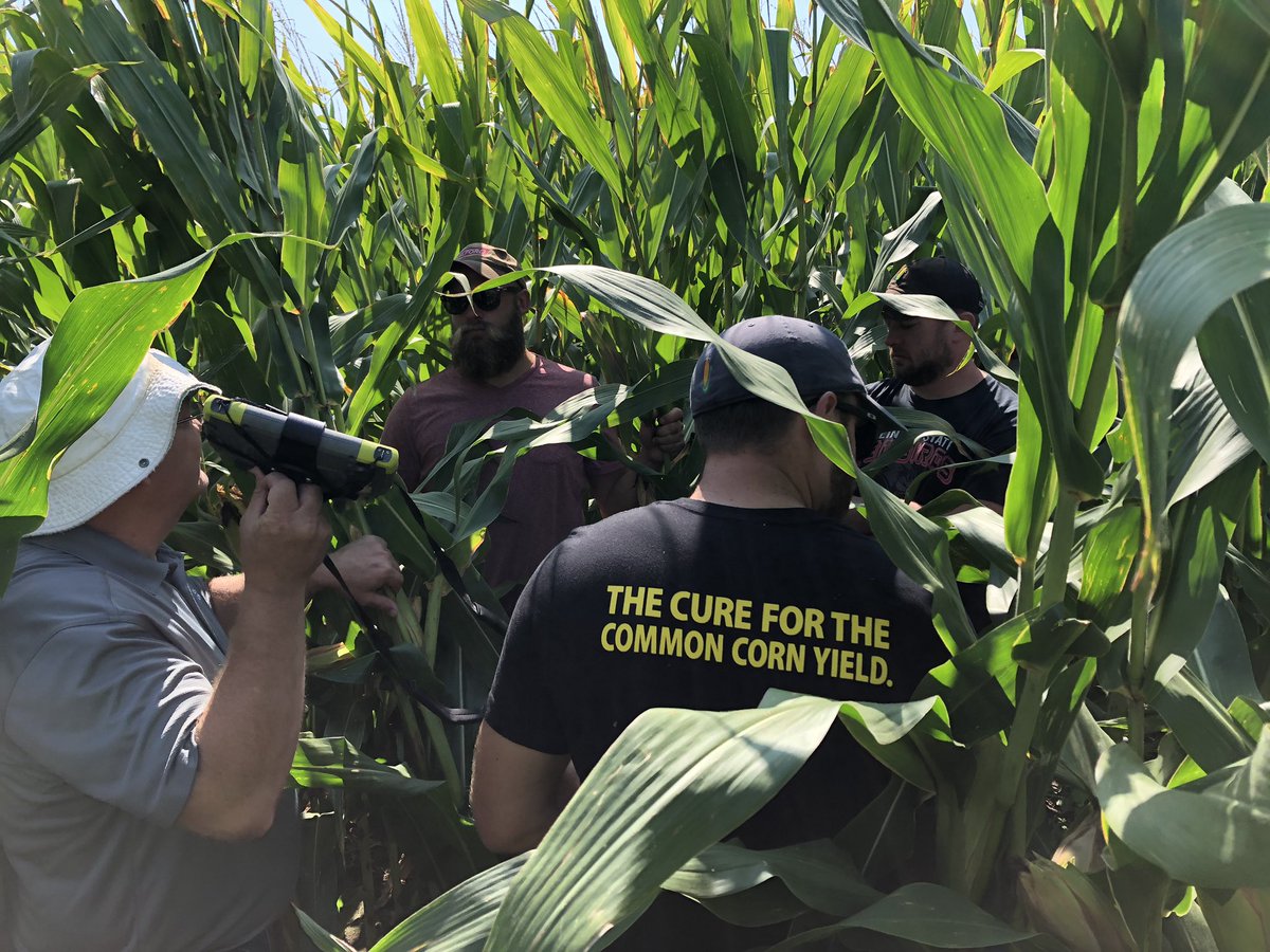 HANK_it56's tweet image. Beautiful day for a @WyffelsHybrids plot tour. Always great info to take home from Plant breeder Bob Jackson. @mearles #Talkincorn #plantwyffels #ILcorn