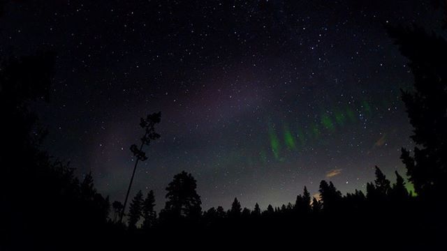 NSR_55's tweet photo. Aurora Borealis at Lac Le Jeune.
#northernlights #auroraborealis https://t.co/QeLk6b9Zh2 https://t.co/zq5PtwU3eI