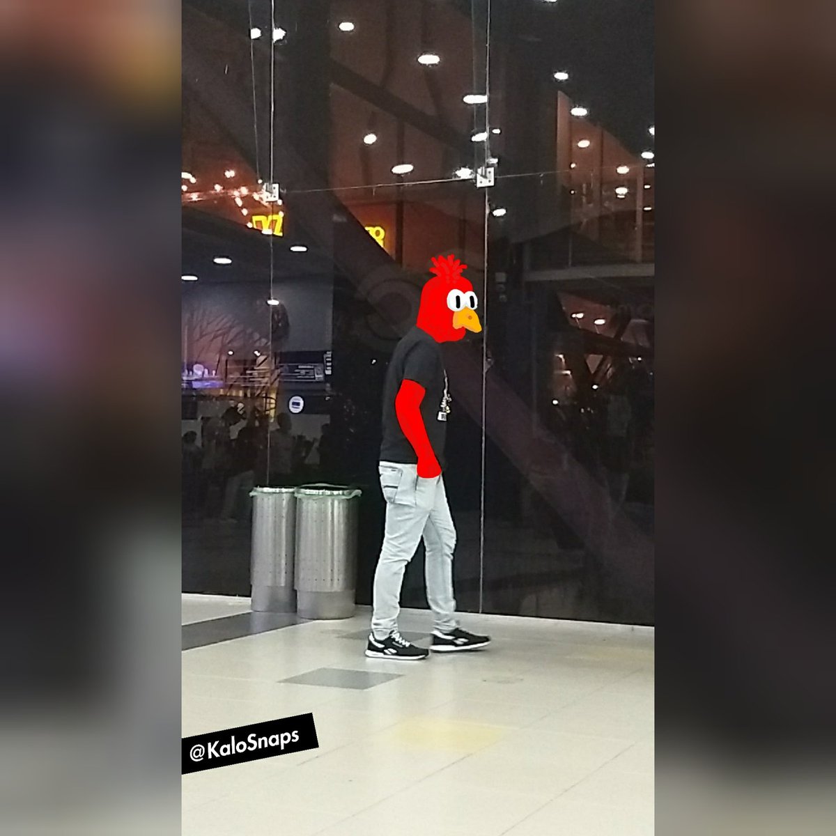 KaloSnaps's tweet photo. ¿ Este no es el pájaro de #AngryBirds ? se les voló allá en los #EstadosUnidos y termino por acá dando vueltas en @PalmettoPlaza #SnapArt #ObraSnapstica #Sketchbook #PhotoPaint #FilterSnaps #RandomSnaps #Wacom #StiloPen #Cali #Colombia #CaliesCreativa #Calipavos #CaliesCali https://t.co/LPYCsFi97r