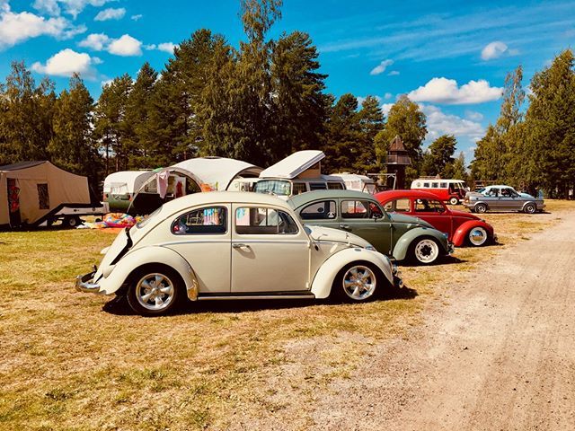 Beetles in a row in front of our camp at #buginfinn2019. Even this filter does not make justice to the hotness of that day. Flipflops melted to the tarmac and soup boiled itself. #aircooled #volkswagen #beetle #vwfusca #vdubs ift.tt/2MRg2gv