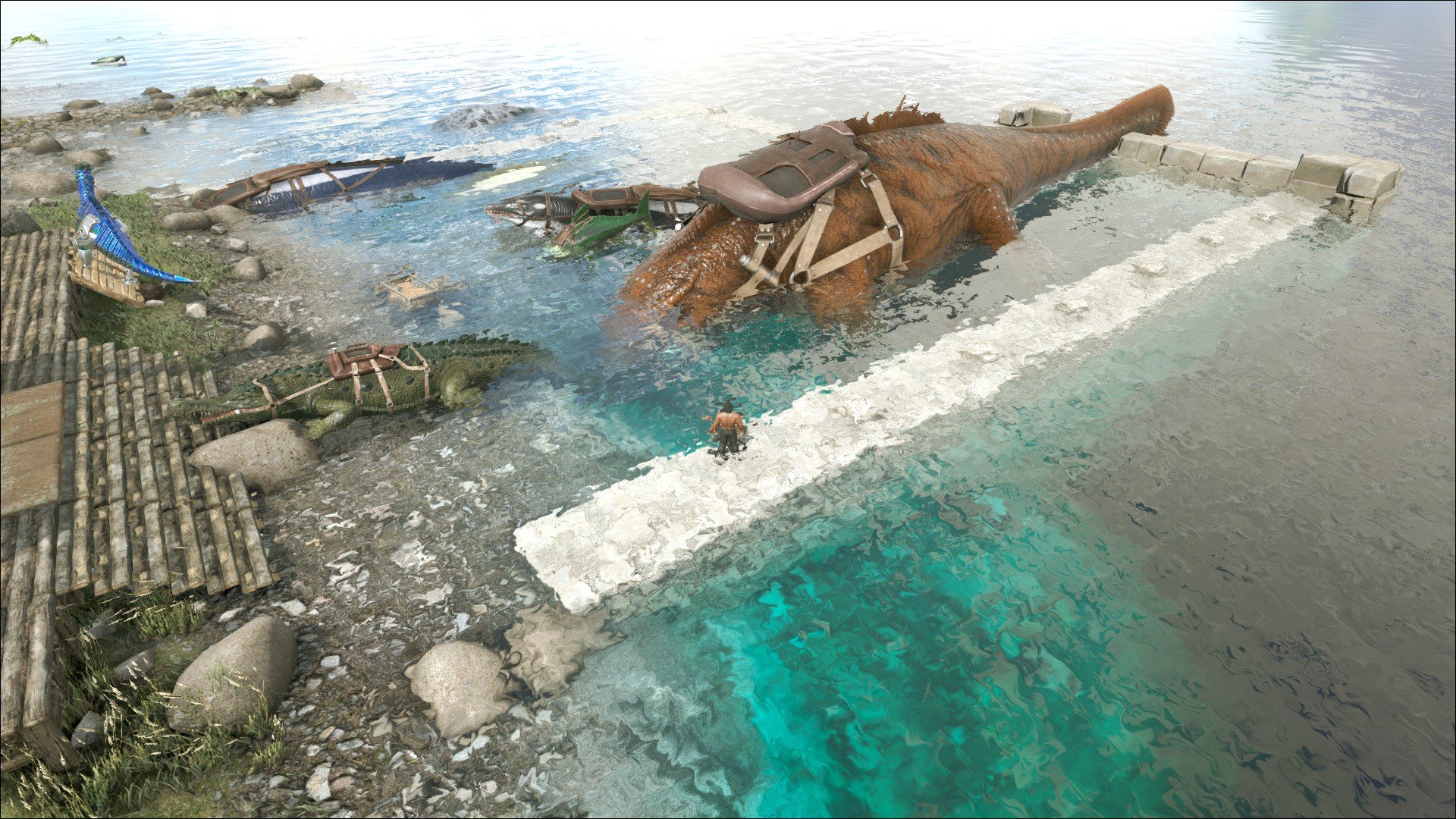 やみの モササウルス テイム出来たのは良かったけど 大きめに作ったはずの水上拠点に大きすぎて入りきらねぇ ｗｗ Ark Arksurvivalevolved バルゲロ T Co 05iztbgyhk Twitter