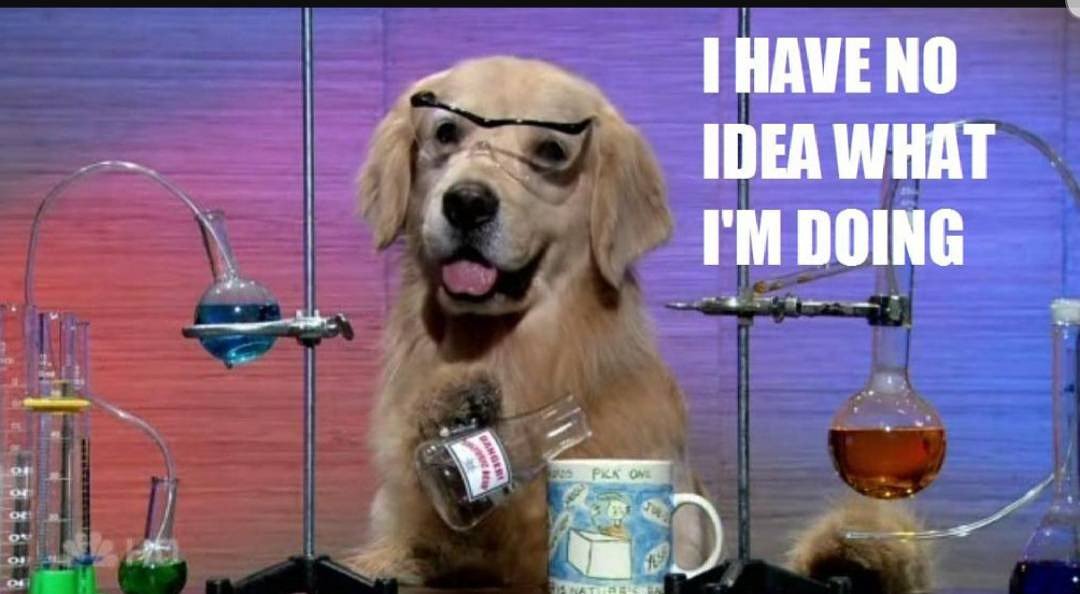 5SongsWith's tweet photo. Happy back to school week! It's okay to feel like this science dog, it's only day 1. Today on #5SW - David Liam Roberts, Rachel Cousins, Moscow Apartment, Em Jordan, and Darlin'! Listen in at 3PM on @CJLO1690AM! https://t.co/QgUL2G25iq