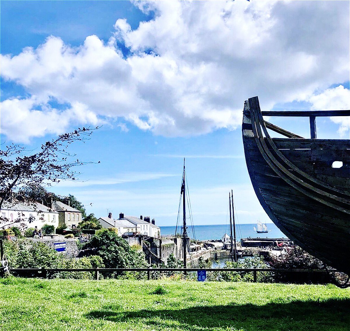 Tregongeeves Farm tweet media