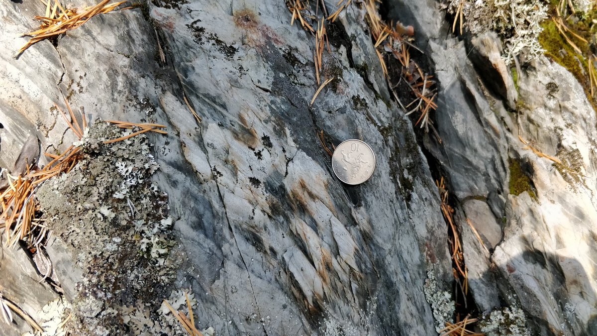 Jonathan Rincón tweet media