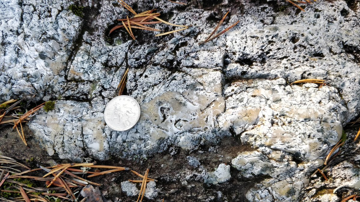 Jonathan Rincón tweet media