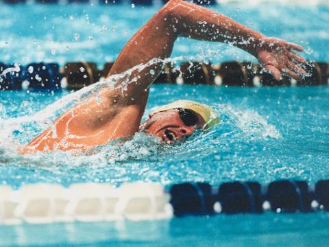 BOS Academy (@bospool) on Twitter photo <a href="/bospool/">BOS Academy</a> Sign-up Now - Less than 4 weeks to our Autumn Aquathlon, Sunday 29th Sept. Fun 750m swim & 7k run.
bospool.com/events#aquathl… <a href="/bospool/">BOS Academy</a> Sign-up Now - Less than 4 weeks to our Autumn Aquathlon, Sunday 29th Sept. Fun 750m swim & 7k run.
bospool.com/events#aquathl…