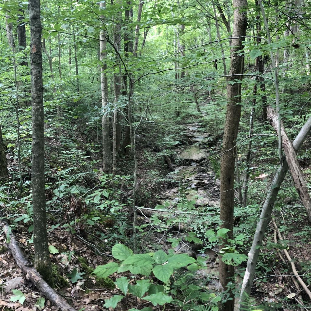 Shades State Park Backpacking Trail and Camp hikingindiana.com/2019/09/03/sha…