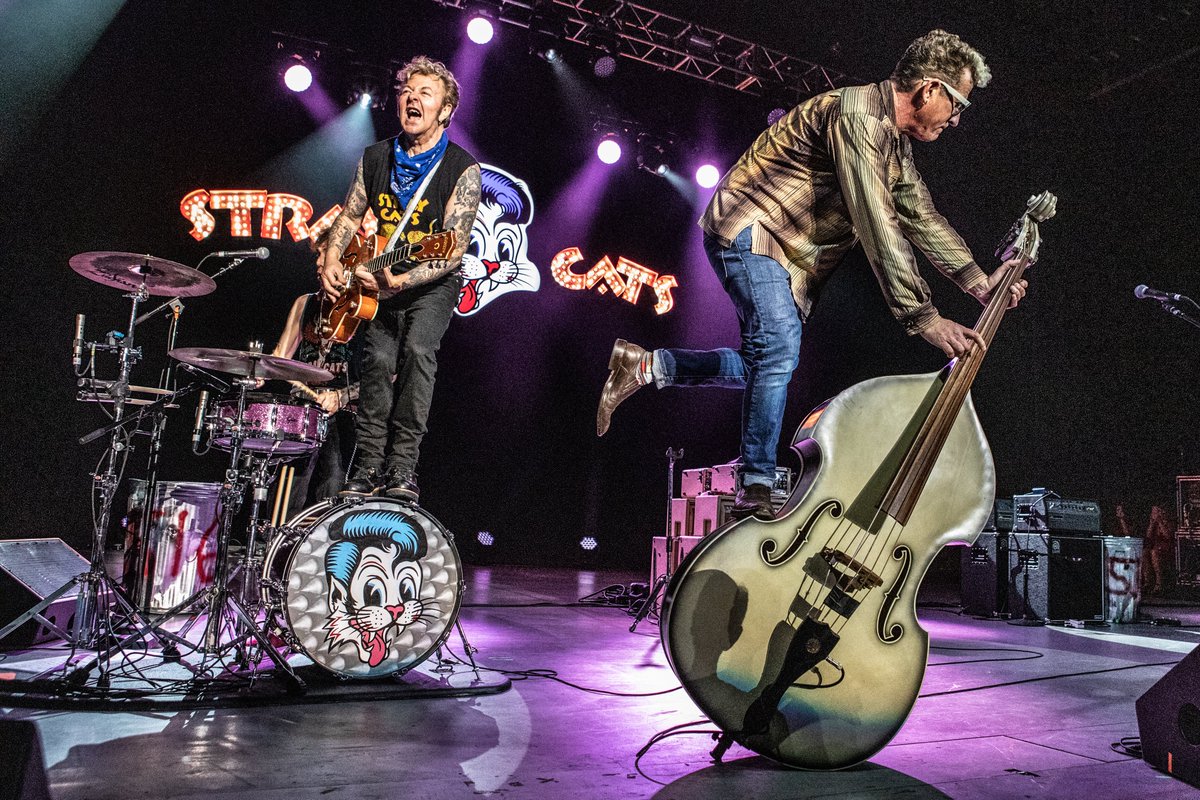 free download stray cats live free download stray cats live