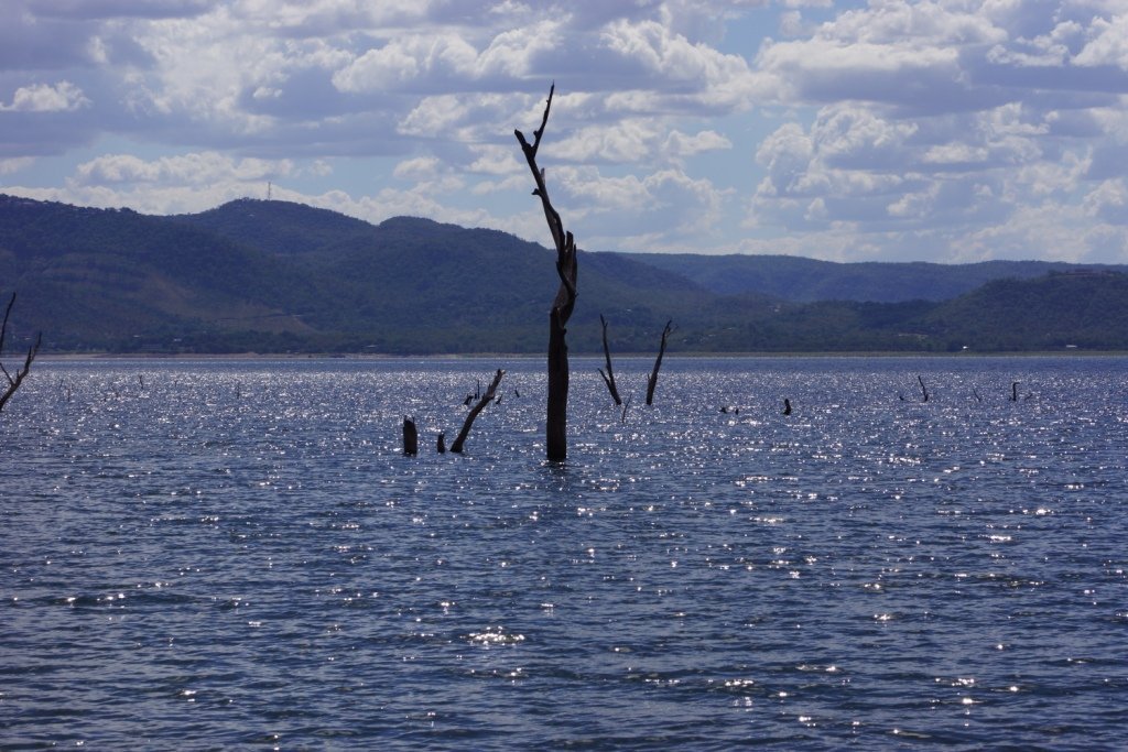 dzimlodge's tweet photo. Wherelse but #kariba #visitzimbabwe #Zimbabwe #Africa #TravelTuesday #holiday https://t.co/OAHt5J6QAj