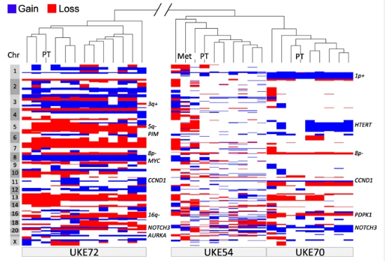BreastCancerResearch (@bcrjournal) on Twitter photo Identifying patterns in circulating tumor cells may reduce risk of brain metastases in #breastcancer #patients: bit.ly/2lAoMLs #cancerresearch #openaccess #TuesdayThoughts <a href="/MPI_MolGen/">MPI for Molecular Genetics</a> Identifying patterns in circulating tumor cells may reduce risk of brain metastases in #breastcancer #patients: bit.ly/2lAoMLs #cancerresearch #openaccess #TuesdayThoughts <a href="/MPI_MolGen/">MPI for Molecular Genetics</a>