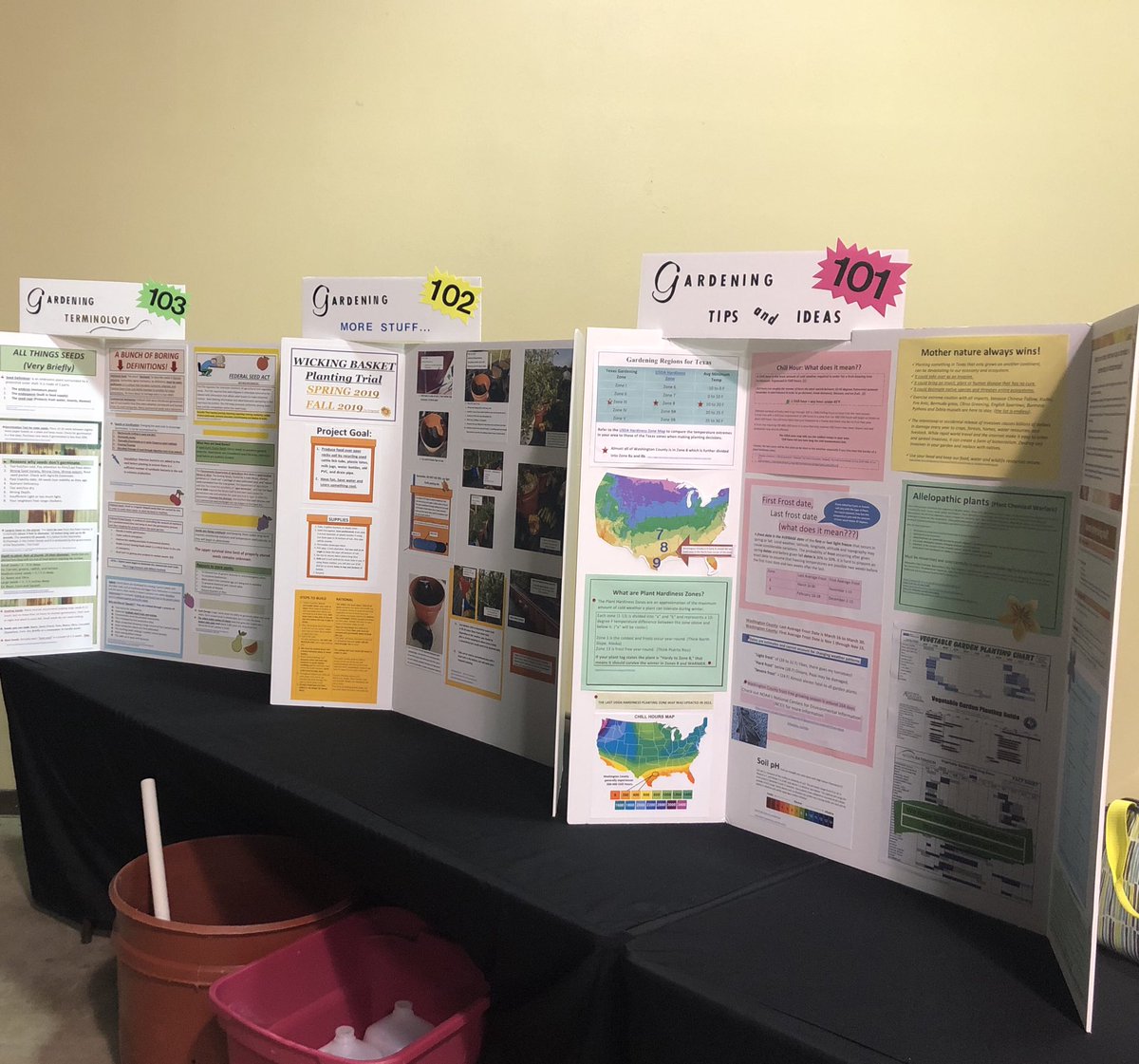 WashCo Extension tweet media