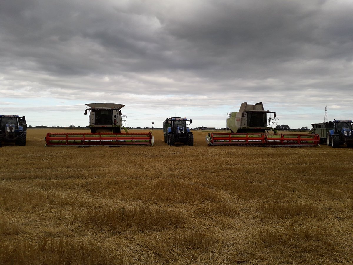 J W Grant cereal harvest completed,  with a little help from the J E G boys 😎