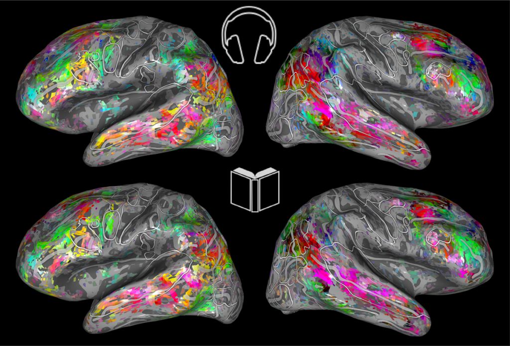 LibraryJournal's tweet image. New evidence suggests that, to our brains, reading and hearing a story might not be so different. ow.ly/a4cW50vUXqK