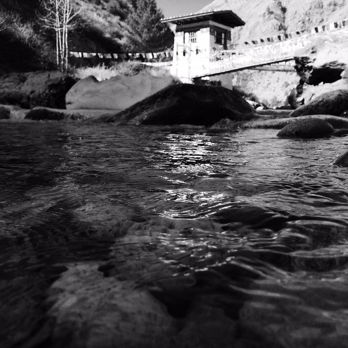 jiva_athma's tweet photo. I love water in every form: the ocean, the rain, the river, the pond, the falls and especially with my whiskey.🤗
.
.
.
#feelingblue #waterbaby #rain #nostalgic #musical #bhutandiaries
#blackandwhite https://t.co/S3GL71eAqp