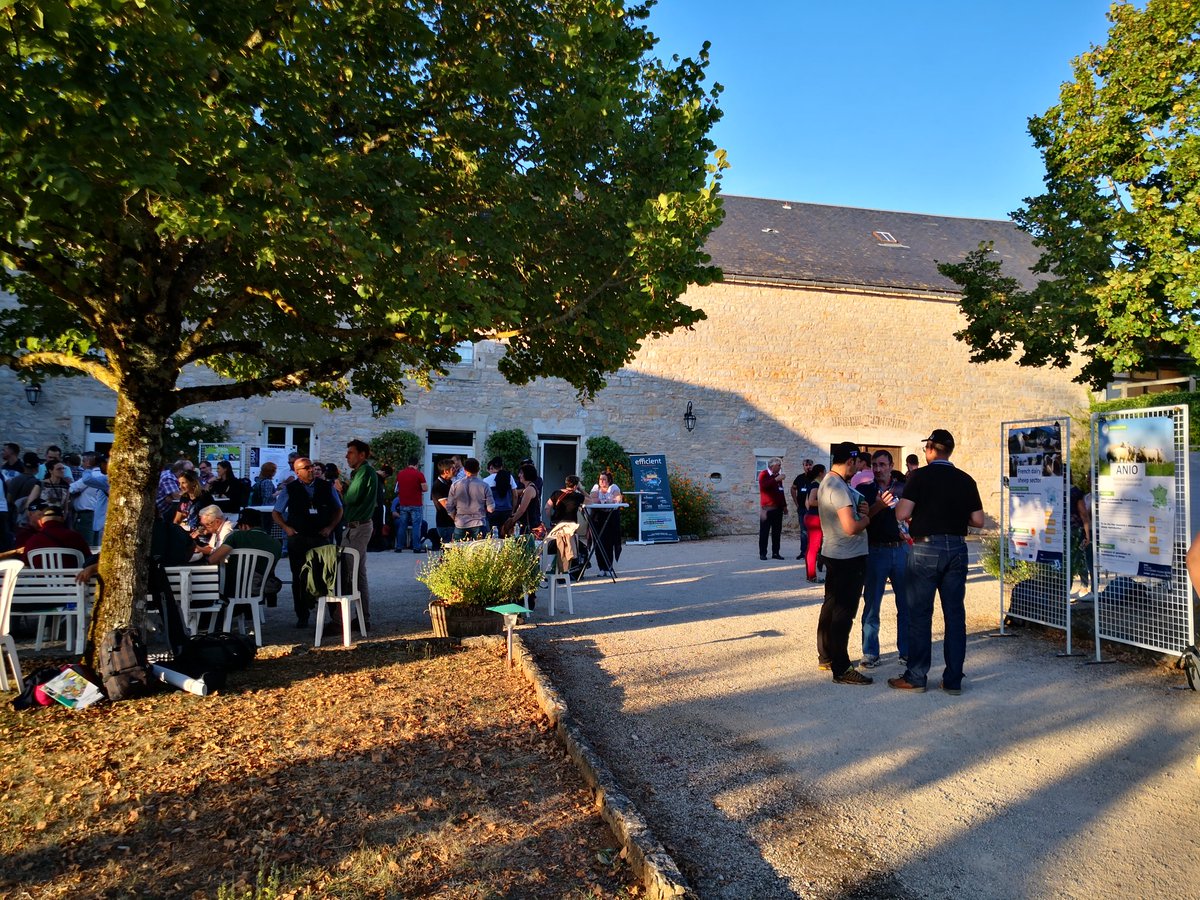 EuroSheepEU's tweet image. Poster session for the last @SheepNetEU seminar @teagasc @SRUC @neikertecnalia @agris @TOGEN @EfficientInno @Inra_France @InstitutElevage @buas
#transnationalworkshop #SheepNet #H2020 #Farming #thematicnetwork #europeanprojet #agriculture #Farming
