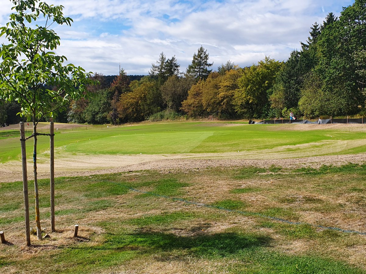 DamrowLucas's tweet photo. First roll of the renovated 2,3&5! @KSgreenkeeper @IVGD1 @sbagolfengroen #golfcourseconstruction #improvingthecourse #kassel #herkuleskassel @kassellive #greenkeeping #golf #agrostis #festuca #golf #golfclubKasselWilhelmshöhe https://t.co/1aWPZzByhh