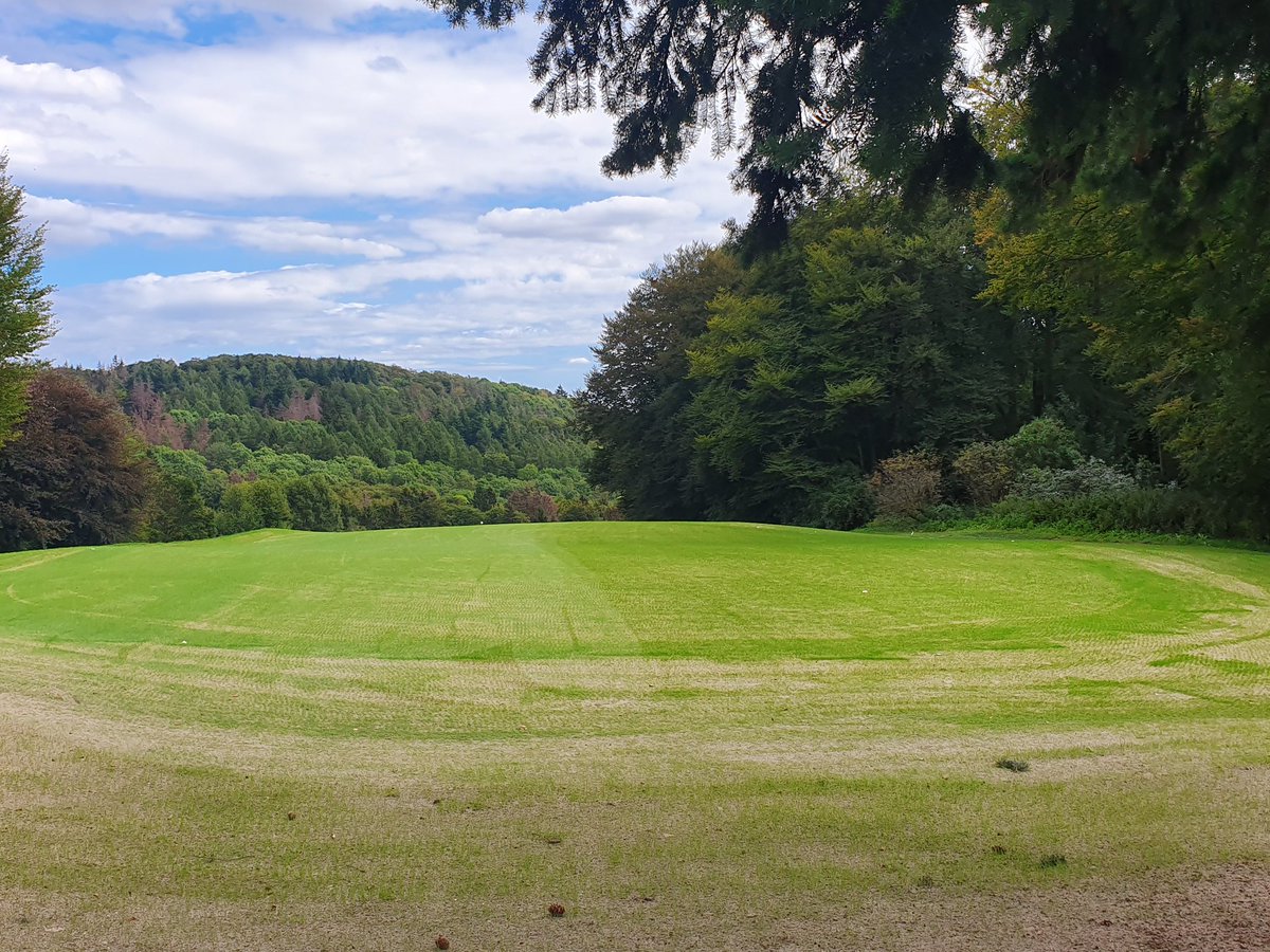 DamrowLucas's tweet photo. First roll of the renovated 2,3&5! @KSgreenkeeper @IVGD1 @sbagolfengroen #golfcourseconstruction #improvingthecourse #kassel #herkuleskassel @kassellive #greenkeeping #golf #agrostis #festuca #golf #golfclubKasselWilhelmshöhe https://t.co/1aWPZzByhh