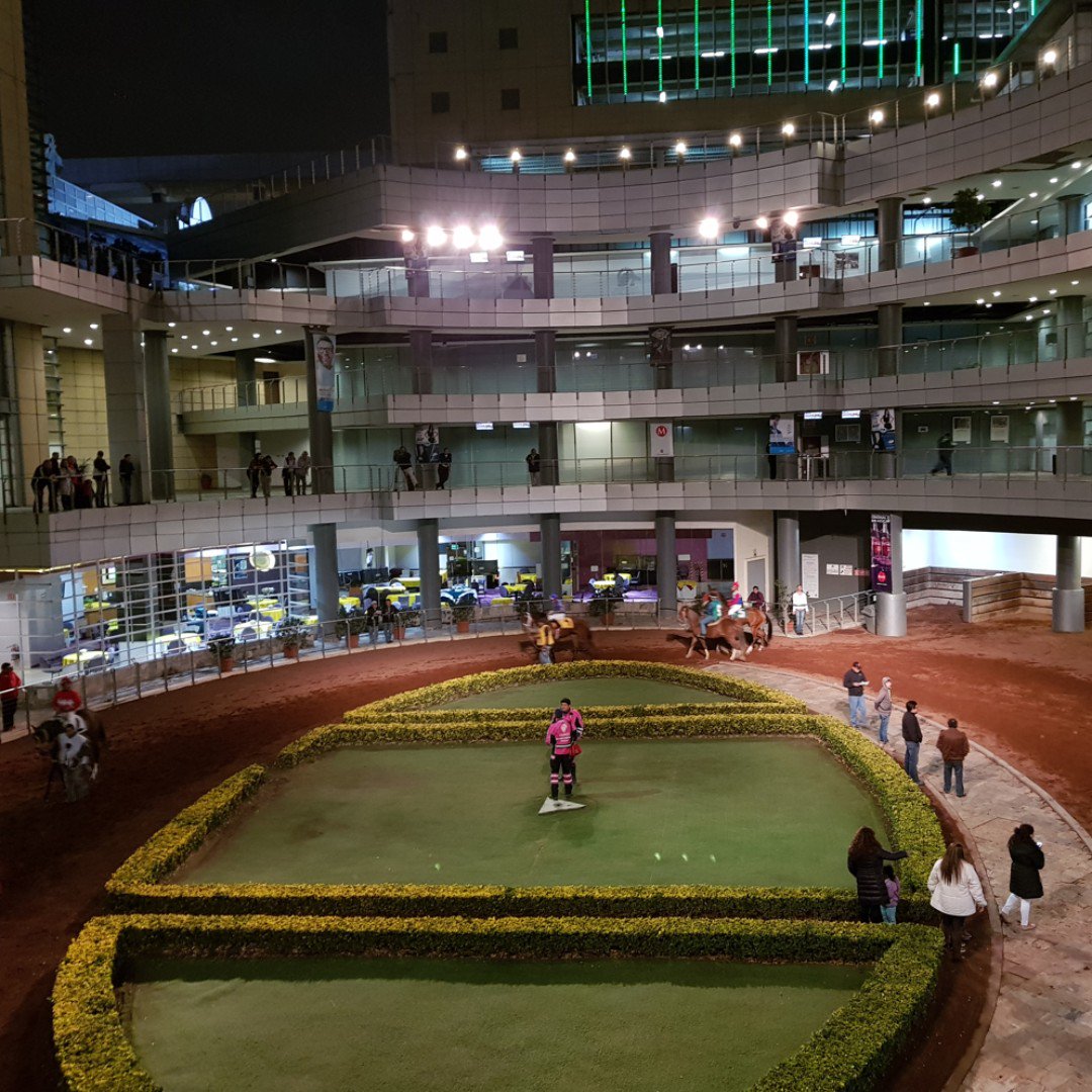 ideasociados's tweet photo. Hipódromo de las Américas Paddok en colaboración con Edmonds.

#Arquitectura #Ideasociados https://t.co/eohkSiWYKC