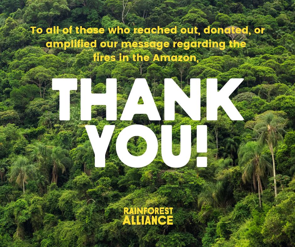 RnfrstAlliance's tweet photo. THANK YOU to all of those who have donated or amplified our message regarding the fires in the Amazon.

We must keep raising our voices for stronger commitments &amp; bolder action from our world leaders. Together, we can increase public pressure &amp; keep attention on the crisis. https://t.co/d45pMQ5Nb6