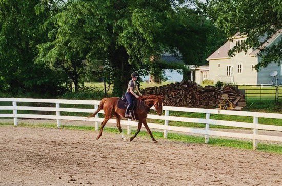 I don’t tweet on here very often anymore but when I do it’s because I’m really hurting and I find this to be a safe place. Someone tell me how to get over giving up your heart horse? I’m so broken...I love this horse immensely 💔