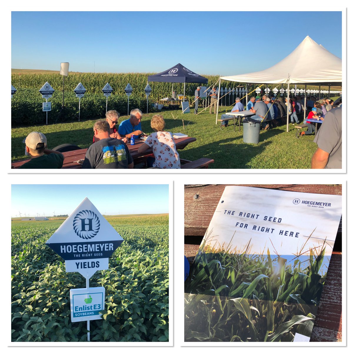 TheRightSeed's tweet image. Talking about the right seed with growers in Carroll, IA. #MasterPlot