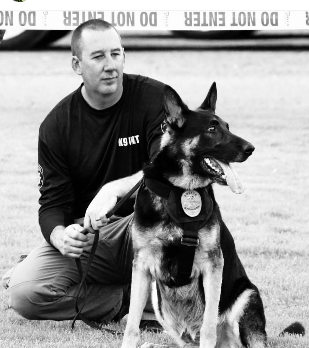Love4PoliceDogs's tweet photo. Remember... all donations to help critically ill K9 Brisant here https://t.co/cTMOSJ8udC (DM donation receipt to me) will enter you into our giveaways this week. He’s saved lives, it’s our turn to help save his. 
Plz donate if you can, share (RT) if you can’t, or both! #livepd https://t.co/WSvIj4PNww