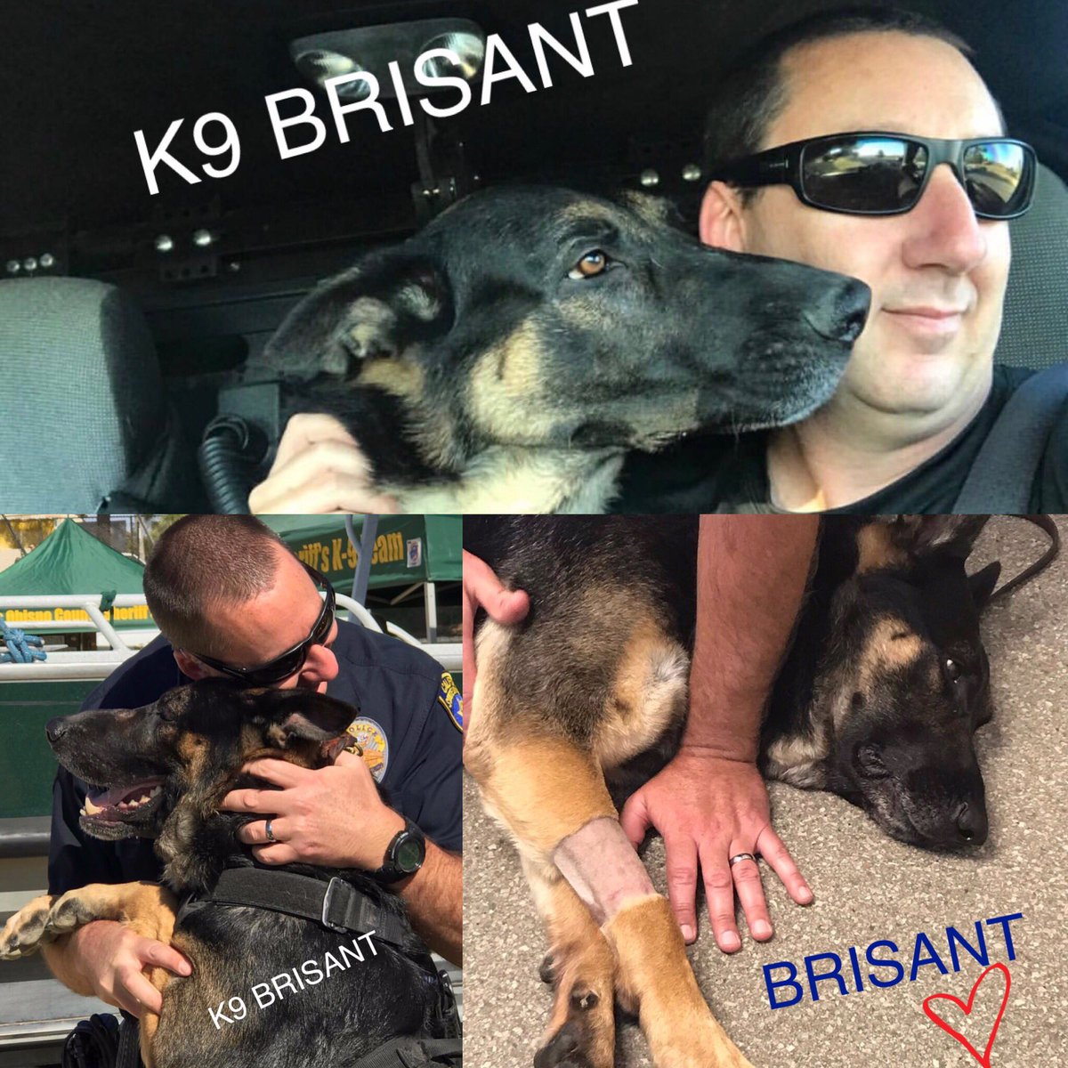 Love4PoliceDogs's tweet photo. Remember... all donations to help critically ill K9 Brisant here https://t.co/cTMOSJ8udC (DM donation receipt to me) will enter you into our giveaways this week. He’s saved lives, it’s our turn to help save his. 
Plz donate if you can, share (RT) if you can’t, or both! #livepd https://t.co/WSvIj4PNww