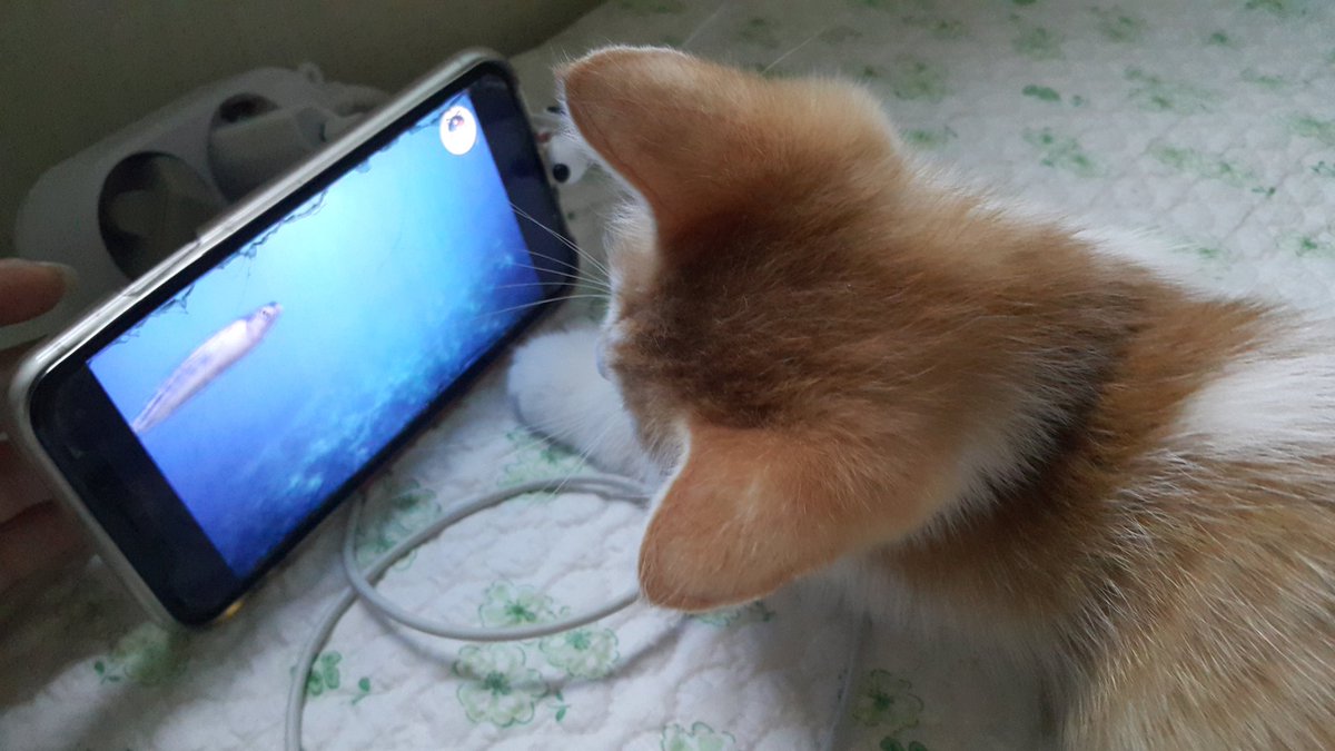 집중하고 있는 뽕주디와 뒷통수