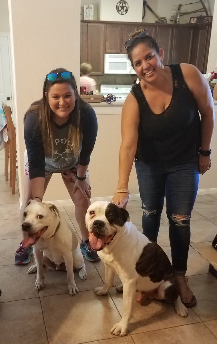 PawSuccess's tweet photo. It was a ruff day for the working #dogs stuck at home while Ms. Z recovers from her recent surgery . Having a visit from @LSSP_Lindy truly brought some #HumbleisdJoy to all of us this afternoon! #BusyDogs = #HappyDogs= #REST https://t.co/COuKXMIAY2