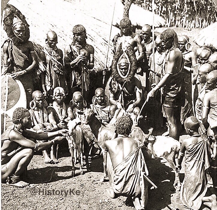 Warriors gathered to discuss the incident. They wondered why Wanjohi hastily assembled a war party without rallying for more warriors from adjoining villages.