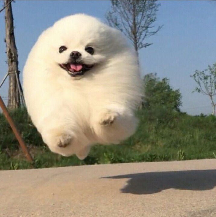Me always screaming and getting a fucking good entrance when almost no one is close to seeing it.