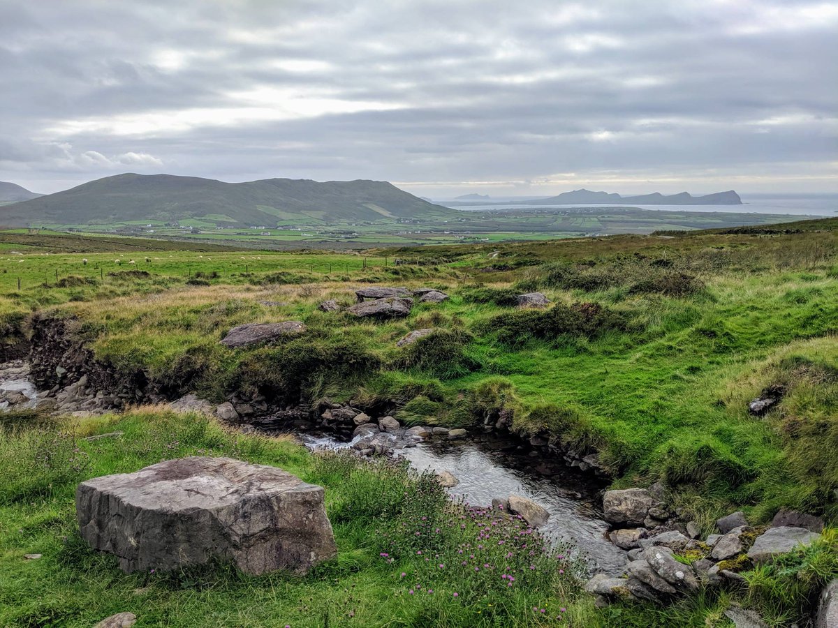KMRiceAuthor's tweet photo. On the way up Mount Brandon, the second highest mountain in Ireland and site of pilgrimage.
#mtbrandon #mountbrandon #kerry #dingle #dinglepeninsula #ireland https://t.co/3YO5R4Luog