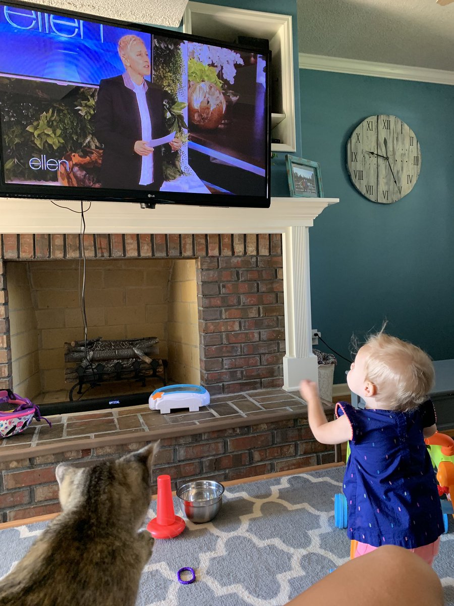 ErikaWeigle's tweet photo. Rescued this little kitty yesterday and he is already fitting into our family perfectly - 3pm family dates to watch @TheEllenShow https://t.co/qtuLBIHGpD