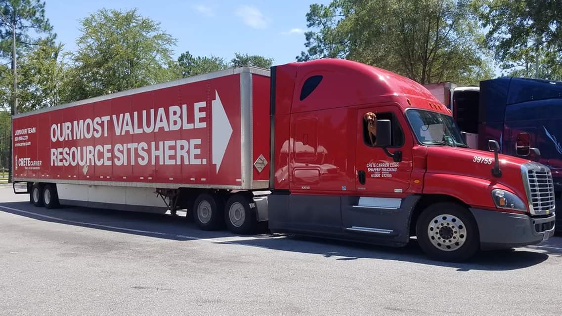 joannas11's tweet image. Mia feeling pretty special @CreteCarrier 😍 #ValuableResource #DogLife #TruckerPup #TruckerLife #Truckers #Trucking #CreteFam #Vizsla