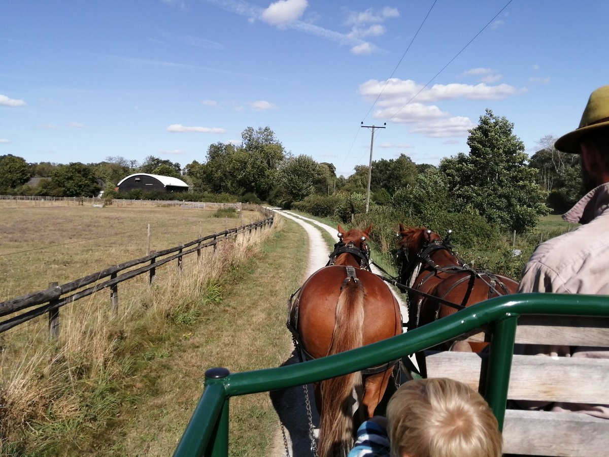 lindner78's tweet photo. Beautiful afternoon spent @GressenhallFW this afternoon to round off the school holidays. #printingfun #icecreams #play #horseandcartrides https://t.co/hOGyLBSKsv