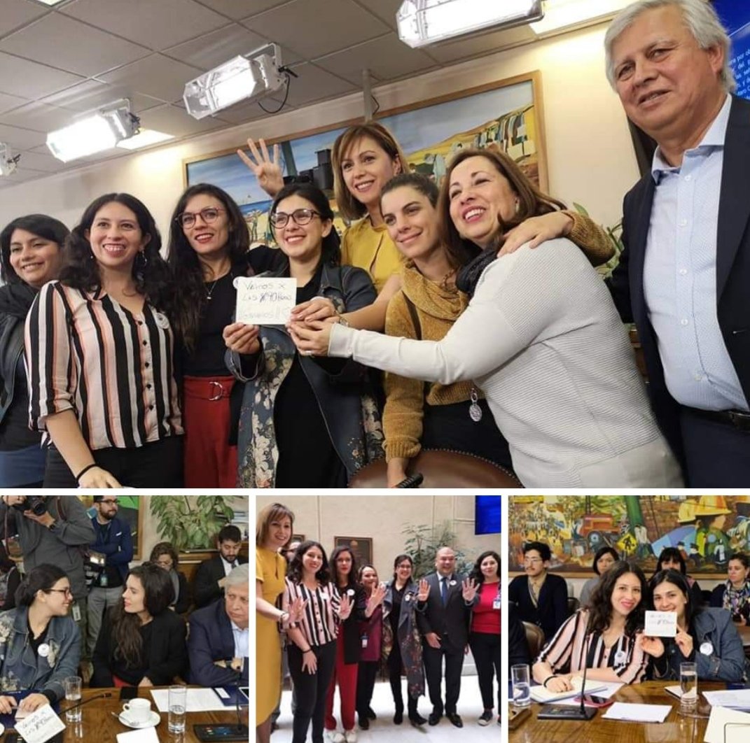 OngMujer's tweet photo. Felicitamos a @camila_vallejo  y @KarolCariola por la aprobación del PDL por las #40horas. Reconocemos la entereza de la pdta @GaelDiputada que aguantó actitudes deplorables de ciertos honorables. @sebastianpinera amenaza con el TC. Ahí estaremos, conocemos la ruta de memoria! 🙋🏽‍♀️ https://t.co/CQY67G3roy