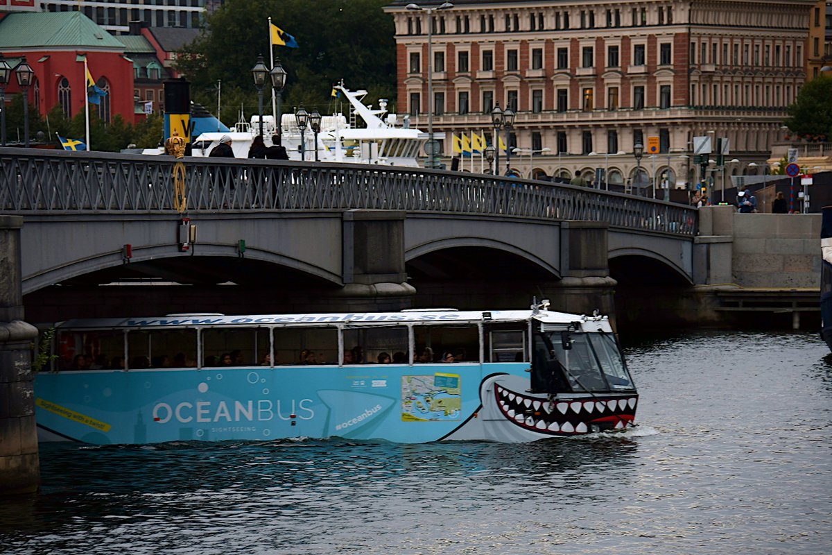 Med_ElHamzaoui's tweet photo. A #Stockholm les bus se jettent à l'eau #Suède #Sweden #OceanBus https://t.co/t06bVNxKFg