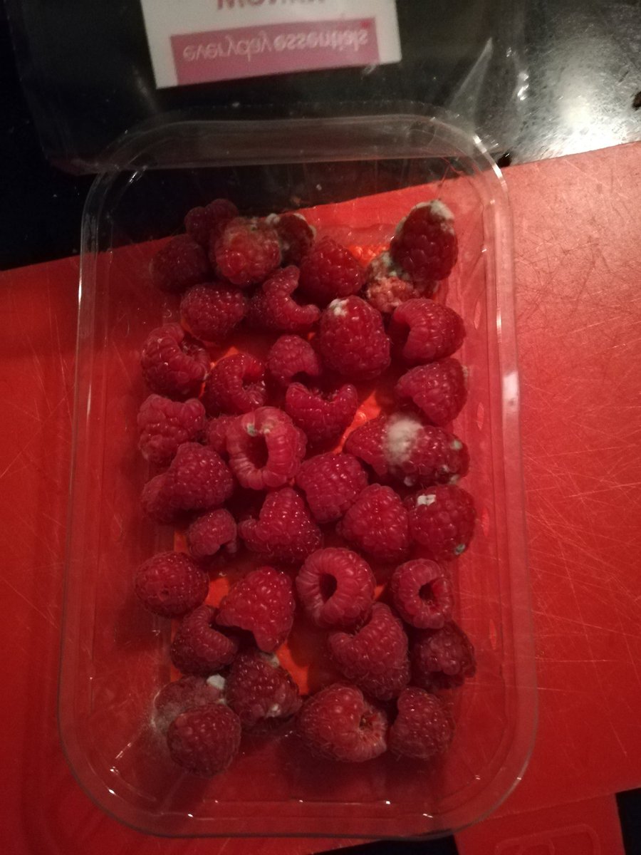 pne1977's tweet photo. @AldiUK bought 1/9 opens 3/9 dated 5/9. Bought for my picky eater 10 Yr old for her lunch tomorrow 1st shop @th3 new fulwood Aldi not impressed won't be going back strawberries also the same but thrown away by my wife #shitfood #nothingforherlunch #mold #inedable #hungrychild https://t.co/Rg8fy38pk1